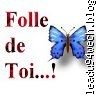 g sui folle d toi (willy)